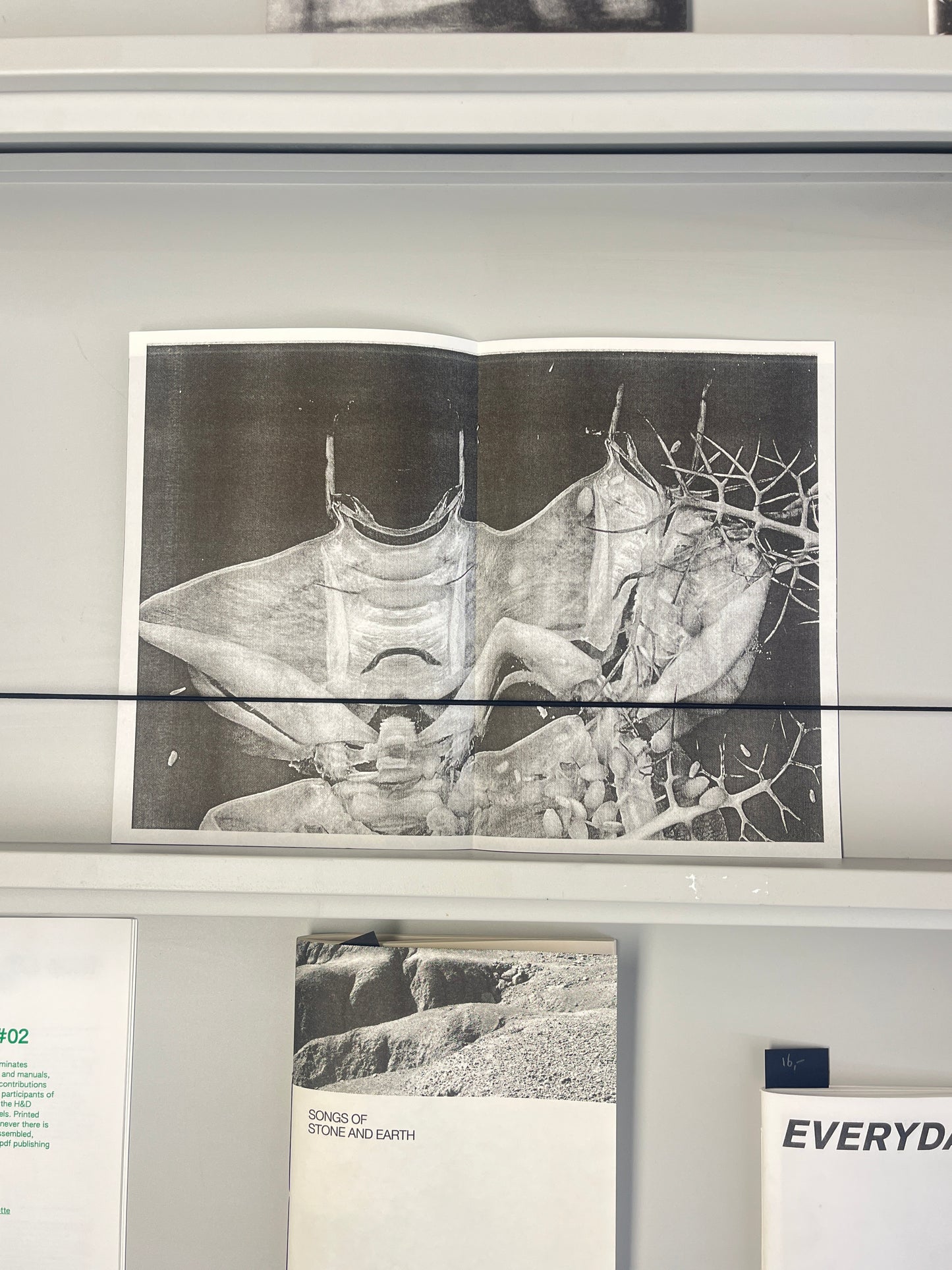 Devil in a Bush, Love in a Mist