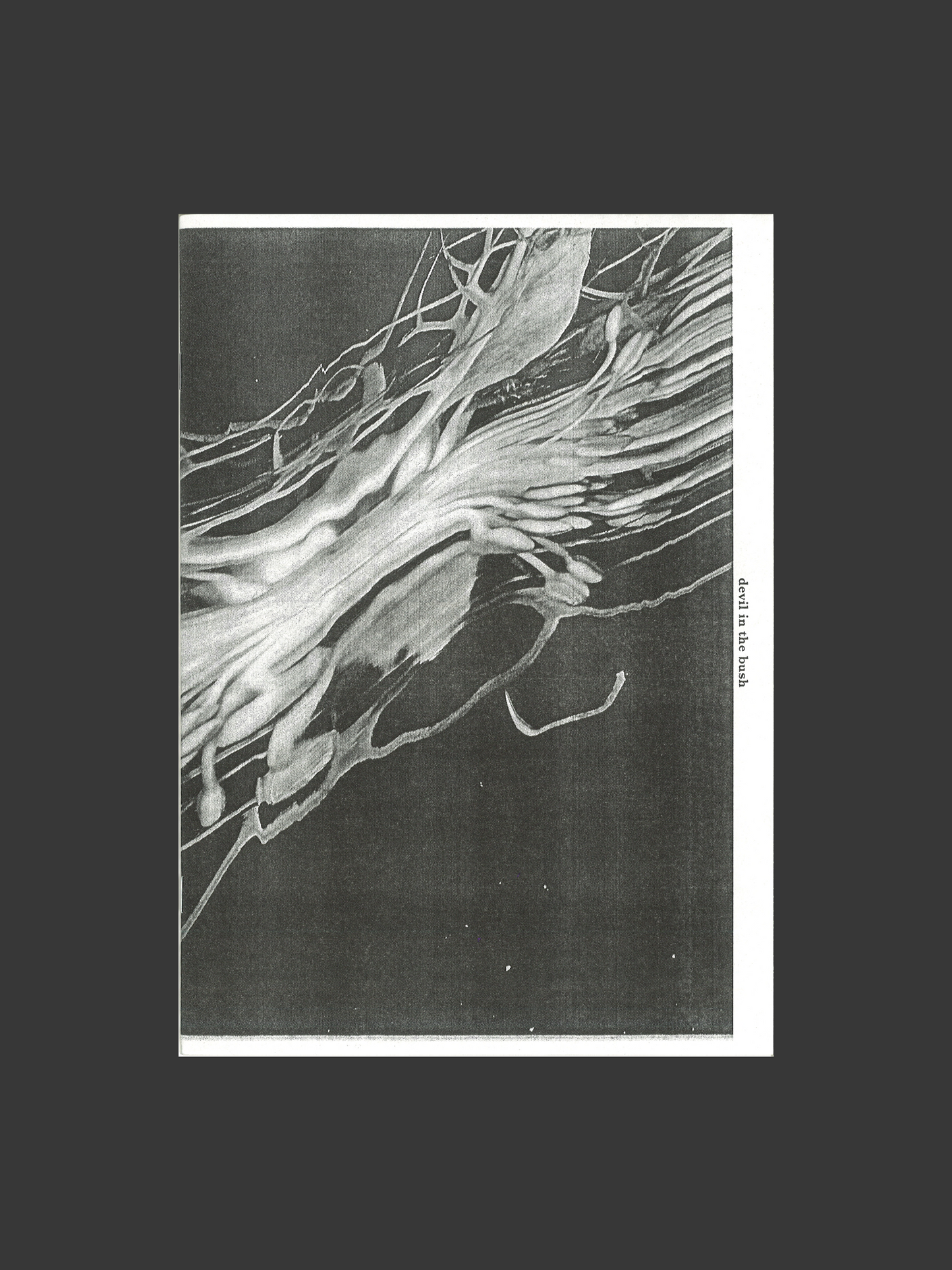 Devil in a Bush, Love in a Mist