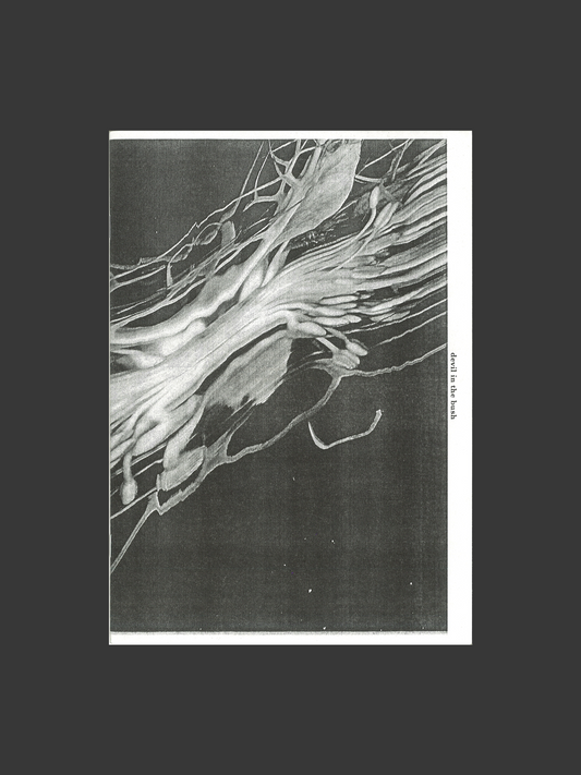 Devil in a Bush, Love in a Mist