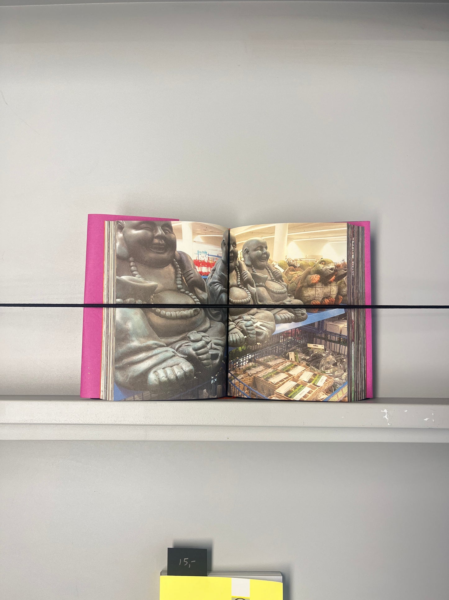 An Ultimate Guide to Zen Living