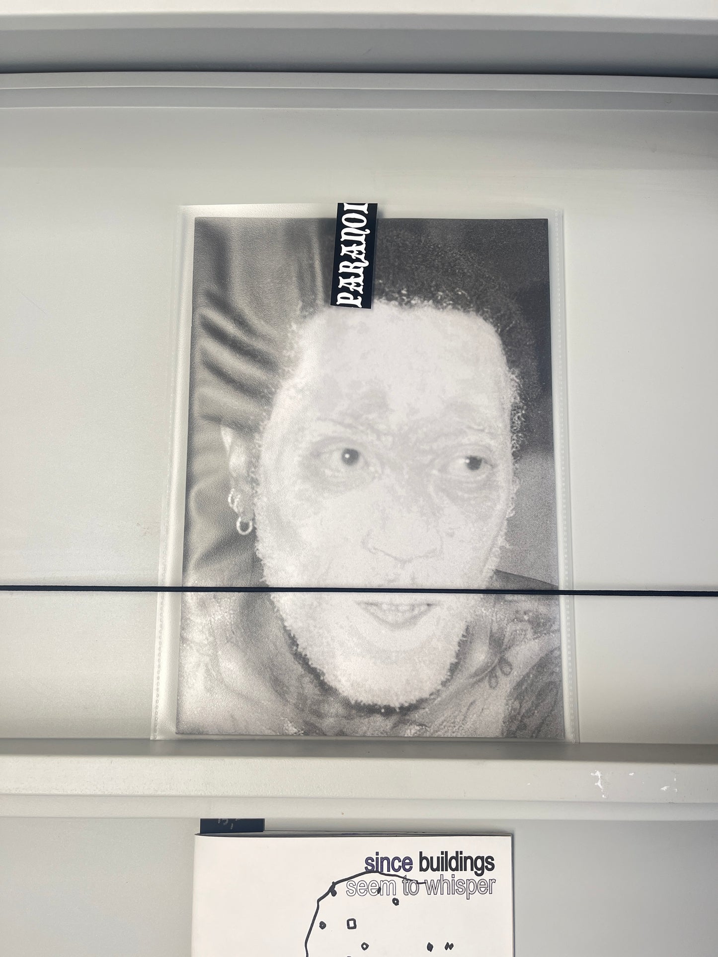 32 faces of paranoia