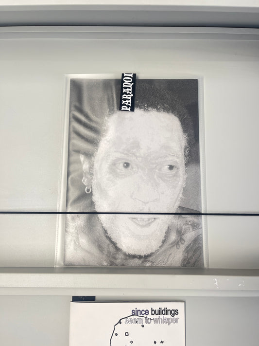 32 faces of paranoia