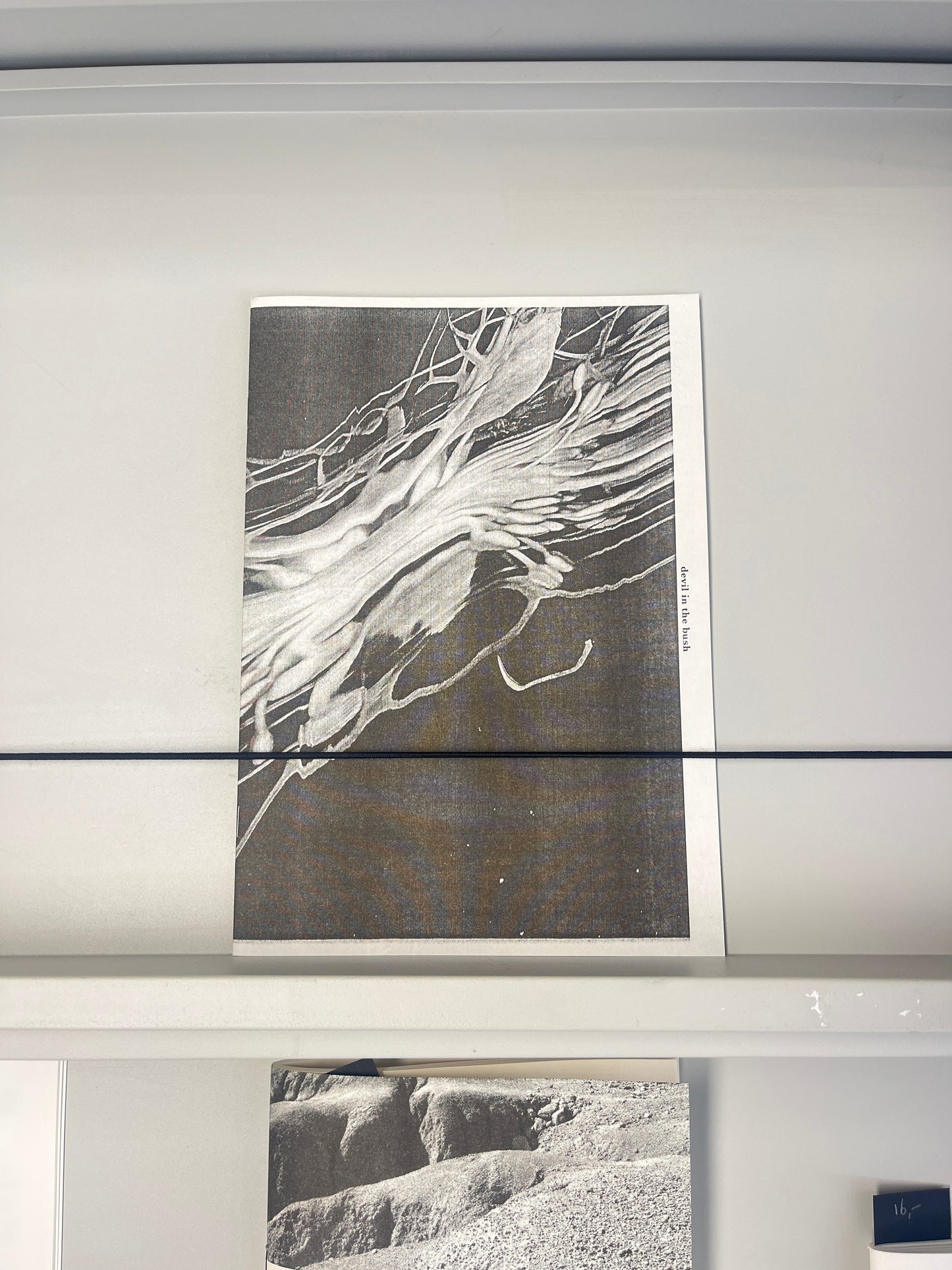 Devil in a Bush, Love in a Mist