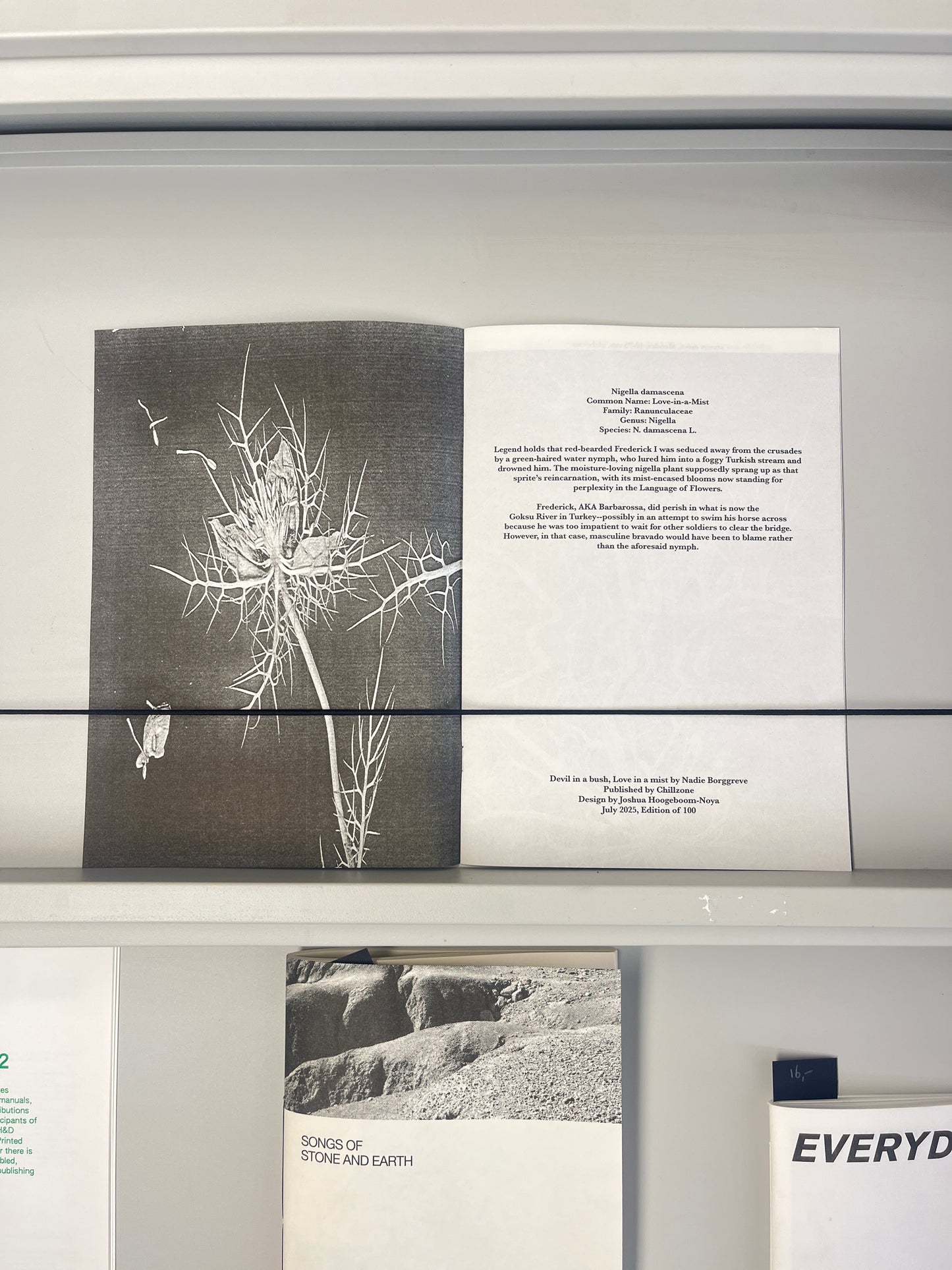 Devil in a Bush, Love in a Mist