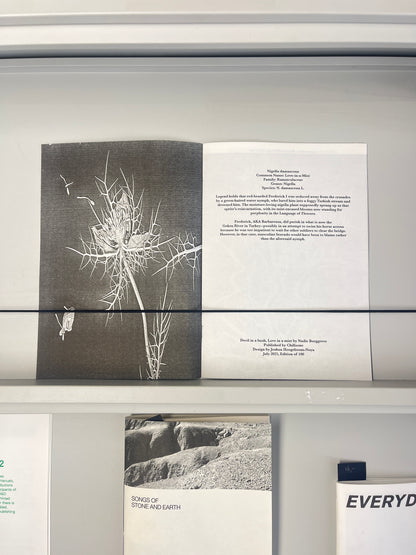 Devil in a Bush, Love in a Mist