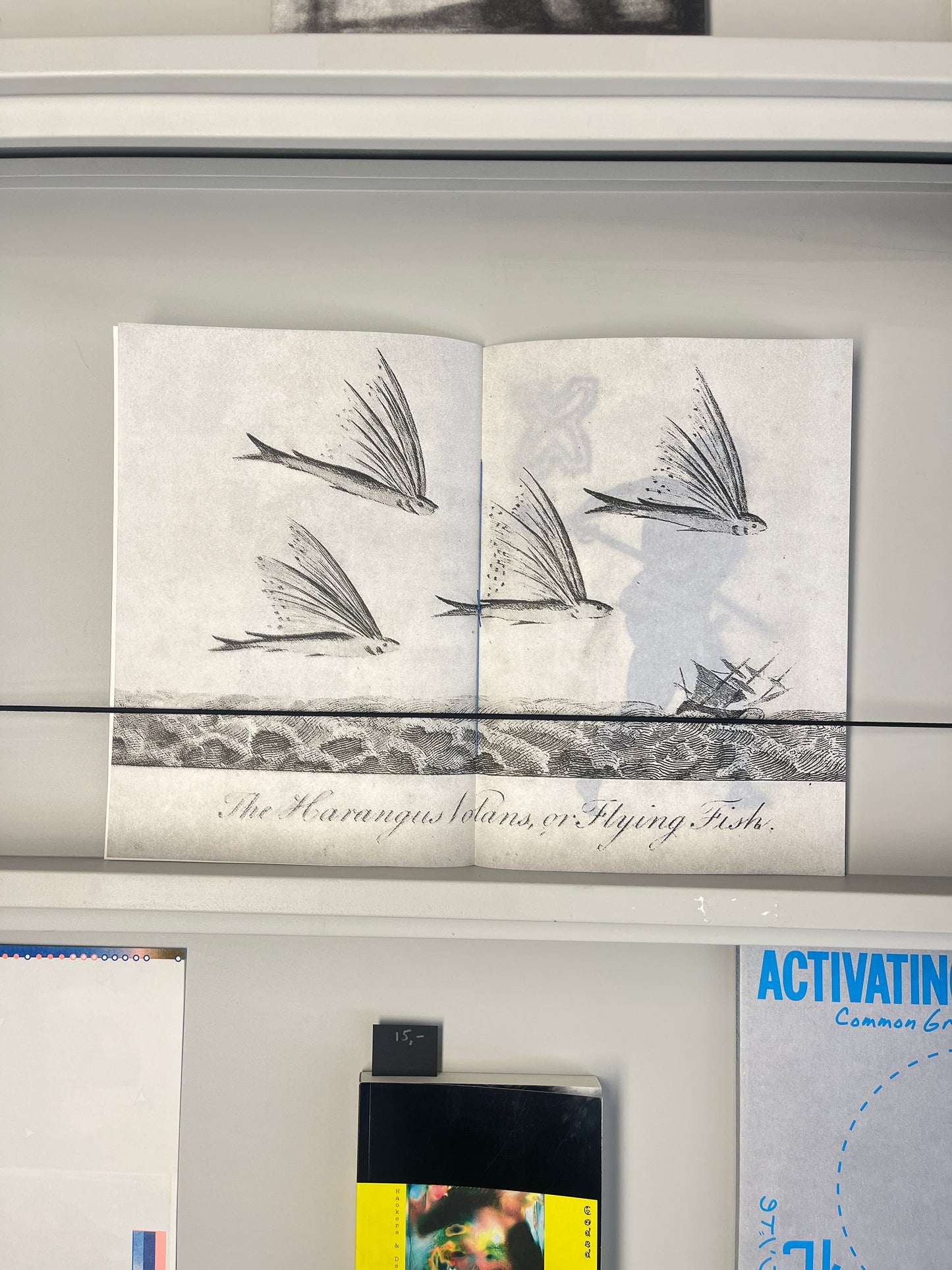 Not Everything That Shines Is Gold