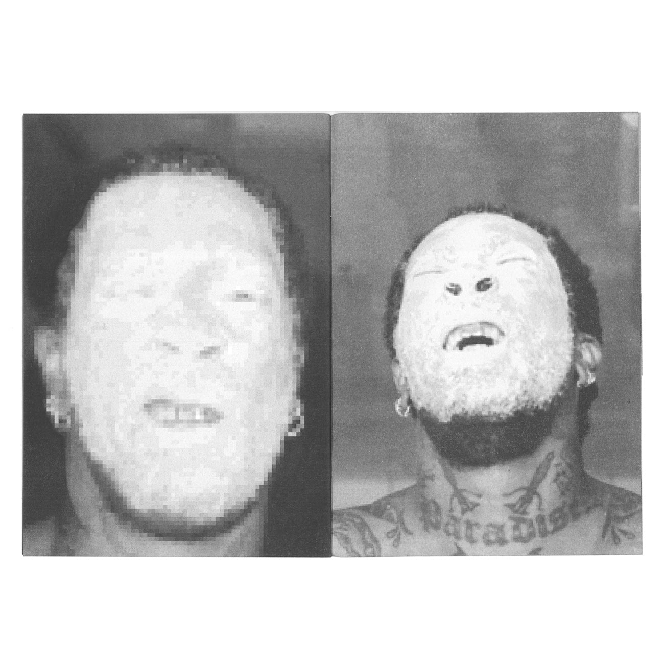 32 faces of paranoia